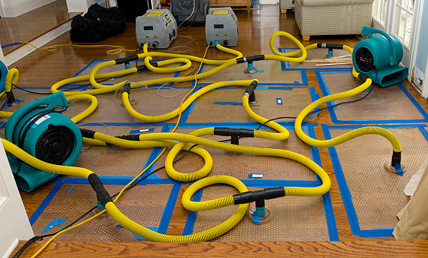 Professional Storm Water Damage Restoration technician working in Lexington, VA